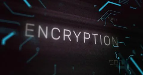 Image of interference over encryption text, data processing and computer circuit Illustrazione stock