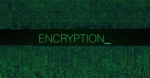 Image of interference over encryption text on black background Stock Illustration