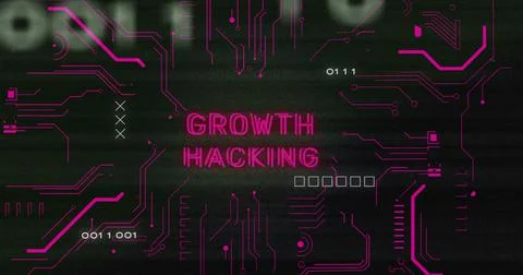 Image of interference over growth hacking text, data processing and computer Illustrazione stock