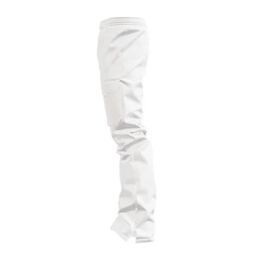 A image isolated on a white background of a snowboard pants Illustrazione stock