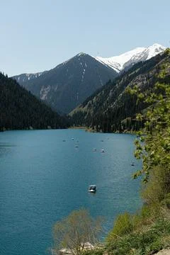 Image of lake in the forest Stock Photos