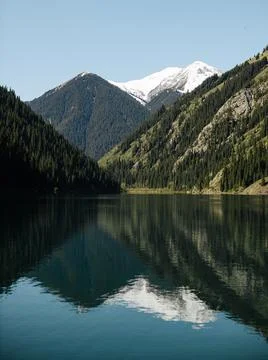 Image of lake in the forest. Trees in the forest Stock Photos