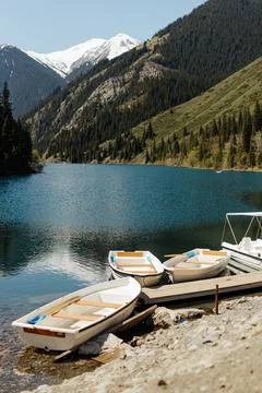 Image of lake in the forest. Trees in the forest Stock Photos