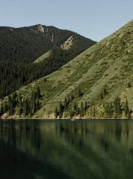 Image of lake in the forest. Trees in the forest Stock-Fotos