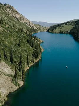 Image of lake in the forest. Trees in the forest Foto stock