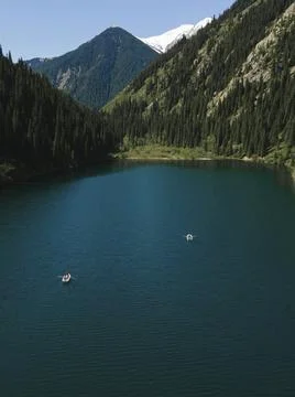 Image of lake in the forest. Trees in the forest Stock Photos