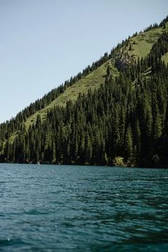 Image of lake in the forest. Trees in the forest Stock Photos
