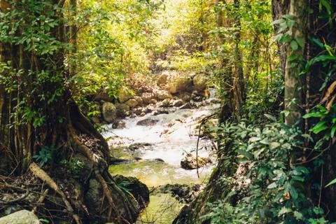 The image landscapse of a river and stream flowing through the rocks in the r Stock Photos