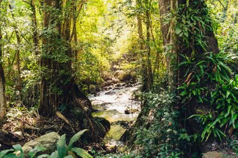 The image landscapse of a river and stream flowing through the rocks in the r Stock Photos