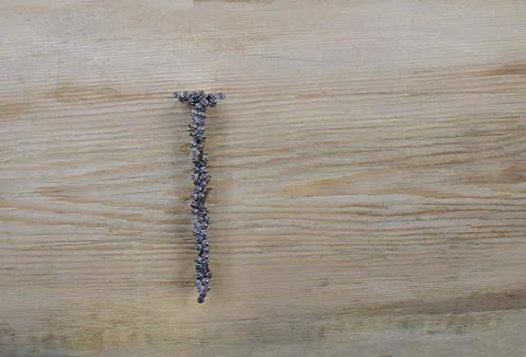 The image of a large nail composed of small nails. Stock Photos