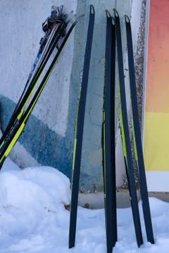 Image of large selection of skis in store. Stock Photos