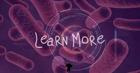 Image of learn more text and data processing over virus cells Stock Illustration