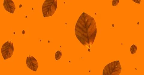 Image of leaves falling over orange background Stock Photos