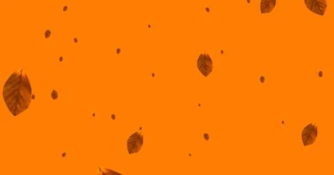Image of leaves falling over orange background Stock Photos