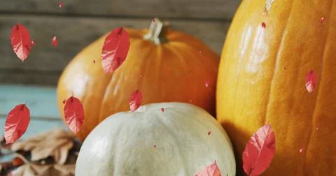 Image of leaves falling over pumpkins 写真素材