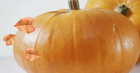 Image of leaves falling over pumpkins Stock Photos