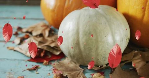 Image of leaves falling over pumpkins Foto stock