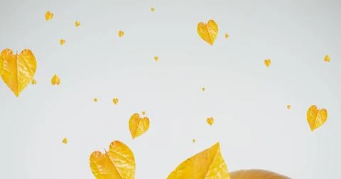 Image of leaves falling over pumpkins 写真素材