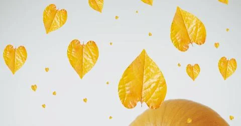 Image of leaves falling over pumpkins Stock Photos