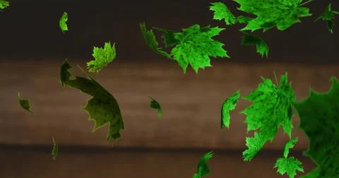 Image of leaves floating over black background Illustrazione stock