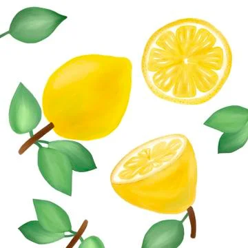 Image of lemons with leaves on a white background Stock Illustration
