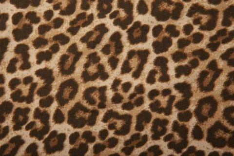 Image of leopard textile background Stock Photos