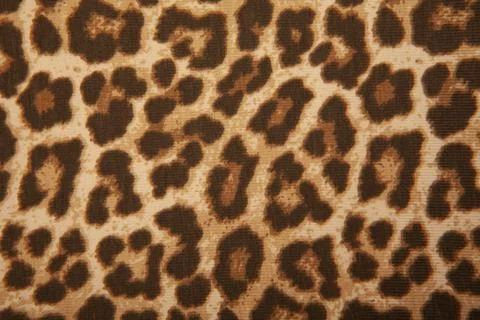 Image of leopard textile background Stock Photos