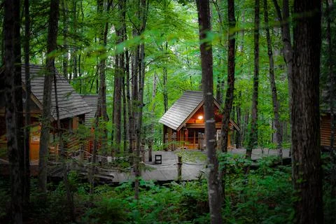 Image of Lodge standing in the forest Stock Photos