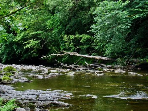 An Image Looking Down A Gently Flowing River Surrounded By Trees Stock Photos