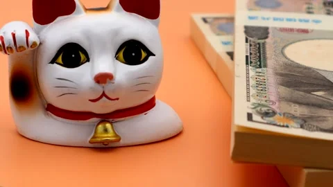 The image of the lucky cat Stock Footage 336538991