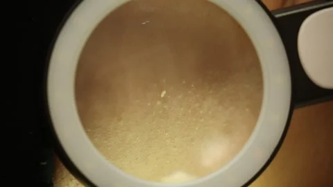 Image with magnifying glass 2 Video stock 327398241