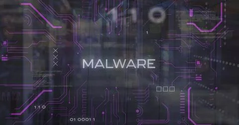 Image of malware, binary codes, computer language, binary codes over server room Foto stock
