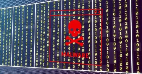 Image of malware text with skull and bones, binary coding and data processing 스톡 사진