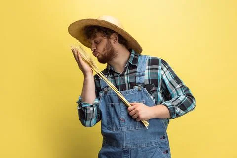Image of man, farmer with wheat isolated over yellow studio background. Concept Fotos Stock