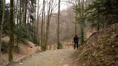 Image of man following hiking trail in the mountain, Zagreb, Croatia. Stock Footage 104520165