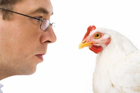 Image of man in glasses staring at curious chicken seriously Stock Photos