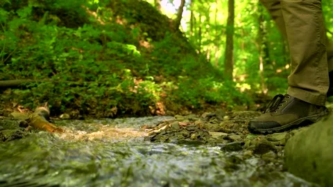 Image of man grabbing fresh river water, Medvednica mountain. Stock Footage 132724483