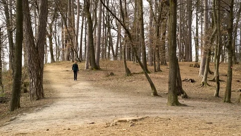 Image of man hiking at Grajski gric, Ljubljana, Slovenia. Video stock 105594685