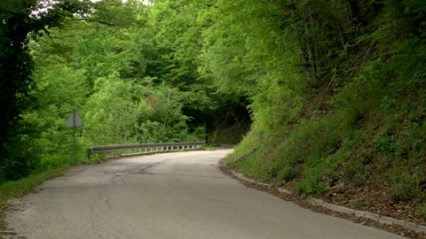 Image of a man jogging alone at calm road surrounded by forest, Croatia. Stock Footage 132725925