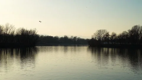 Image of man practicing stand up paddle at Jarun lake, Zagreb, Croatia. Stock Footage 105503481