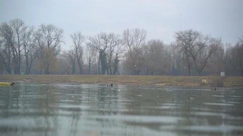 Image of man rowing alone at an artificial lake, Zagreb, Croatia. Stock Footage 105502669