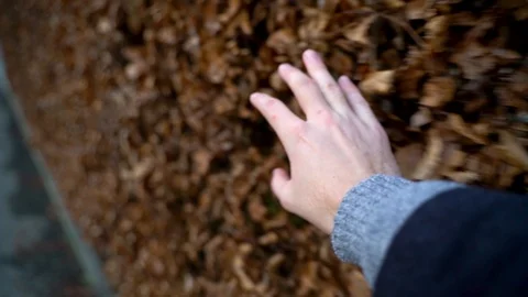 Image of man touching red leaves wall, Heuchlingen, Germany. Stock Footage 102646484