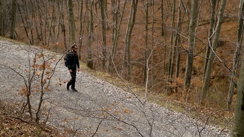 Image of a man walking slowly on road crossing forest, Zagreb, Croatia. Stock Footage 104519723