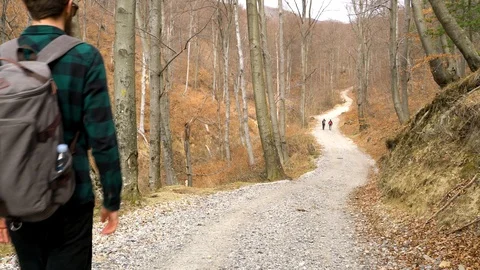 Image of a man walking slowly on road crossing forest, Zagreb, Croatia. Stock Footage 104520114