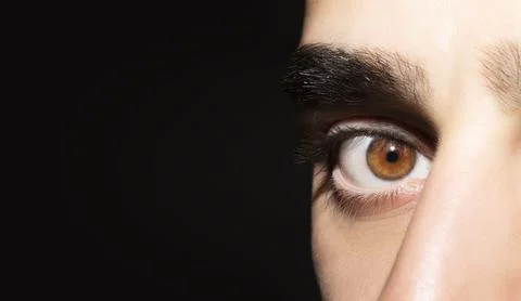 Image of man's brown eye close up. Insightful look. Фото