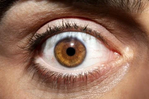 Image of man's brown eye close up. Insightful look. 库存照片