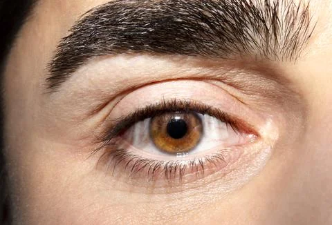Image of man's brown eye close up. Insightful look. 库存照片