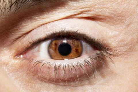 Image of man's brown eye close up. Insightful look. 库存照片