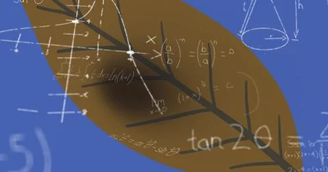 Image of mathematical equations and leaf on blue background Stock Illustration