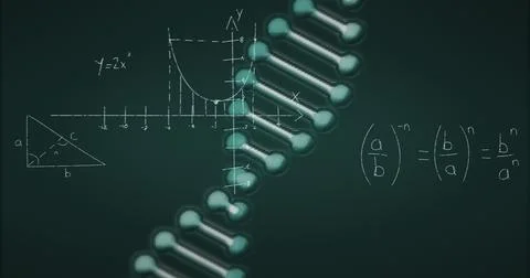 Image of mathematical equations over dna strand on black background Stock Illustration